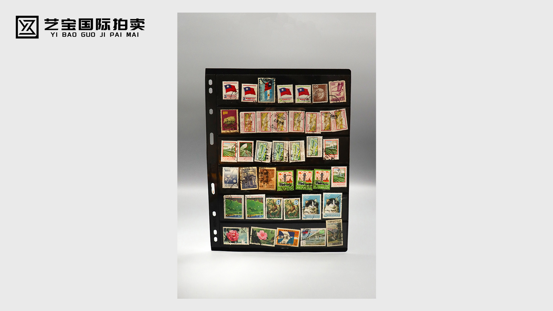 方寸藏史，墨韵留痕