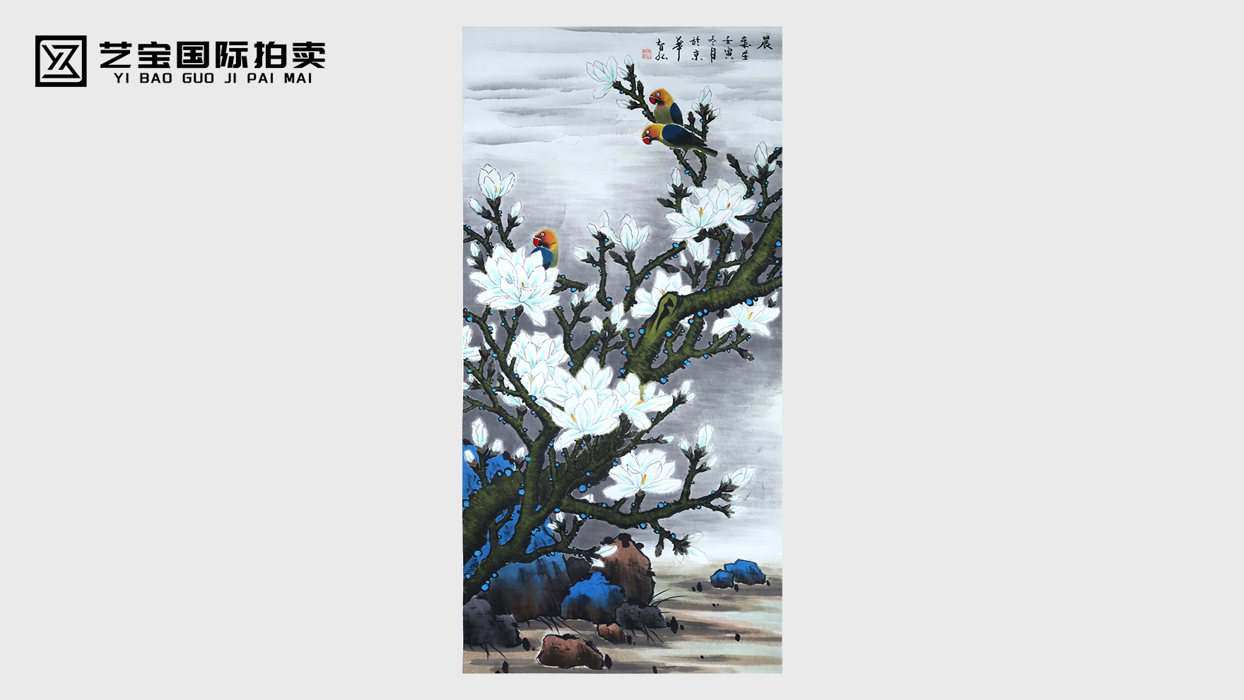 鹦鹉报晓，在玉兰香里唤醒每一寸晨光