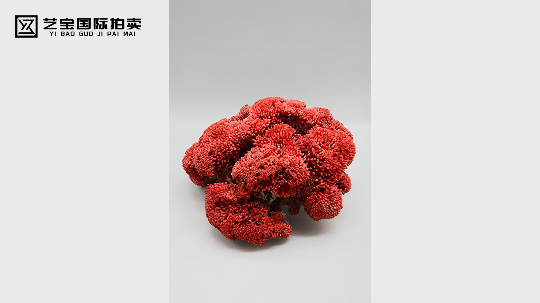 凝深海灵韵，藏岁月珍华——红珊瑚的传世之美