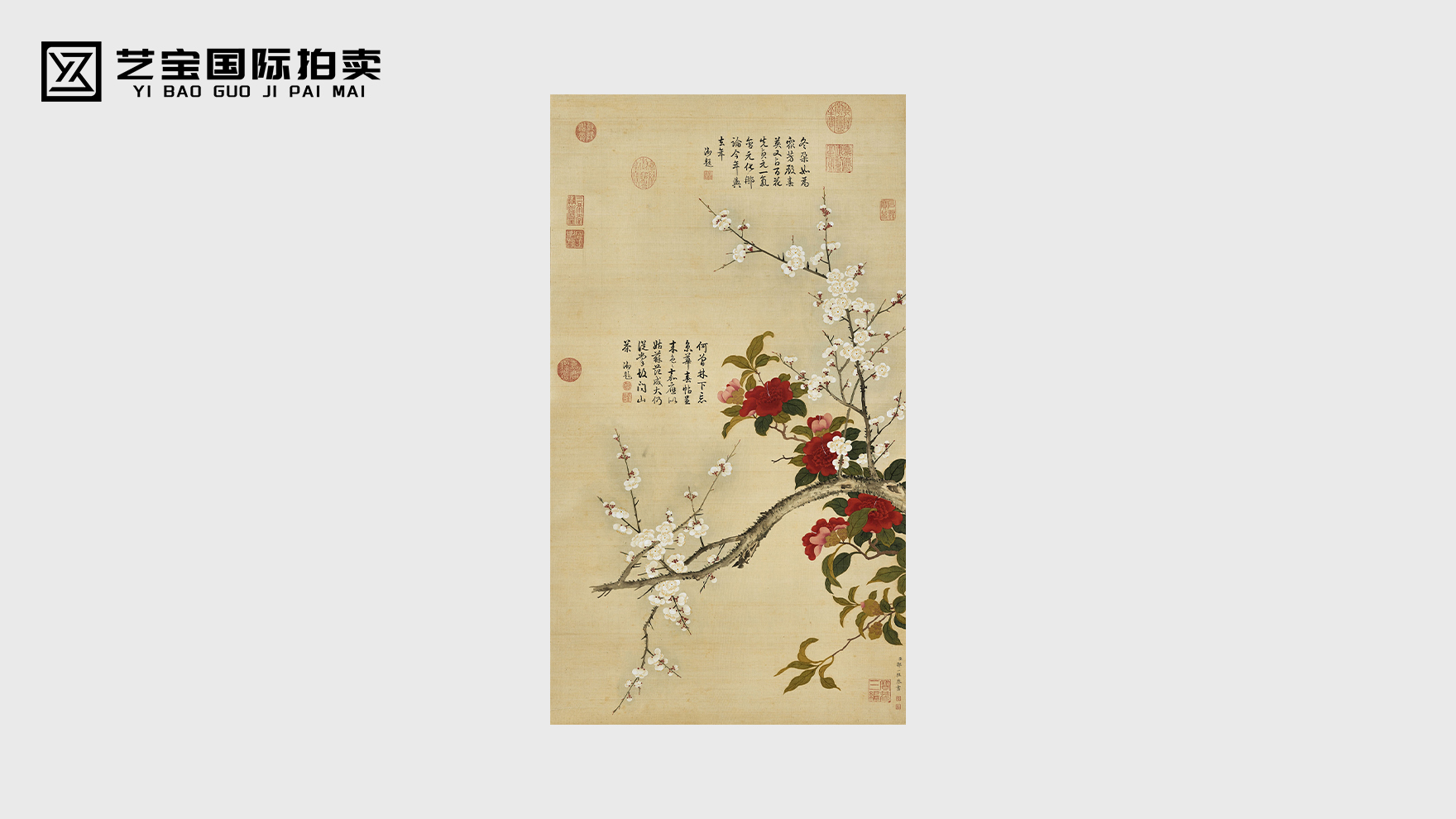邹一桂白梅山茶轴