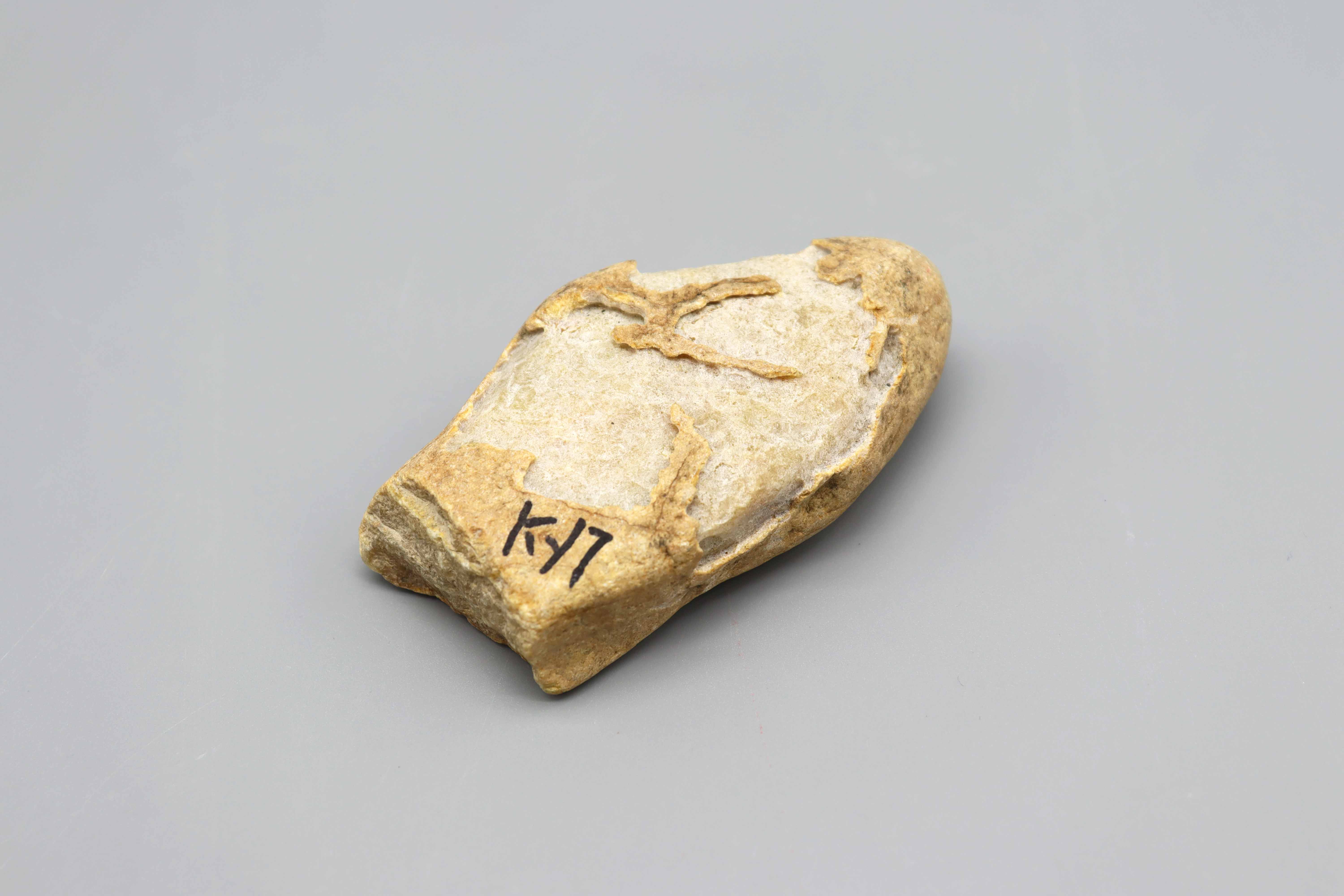 现代 翡翠原石1 精品.jpg