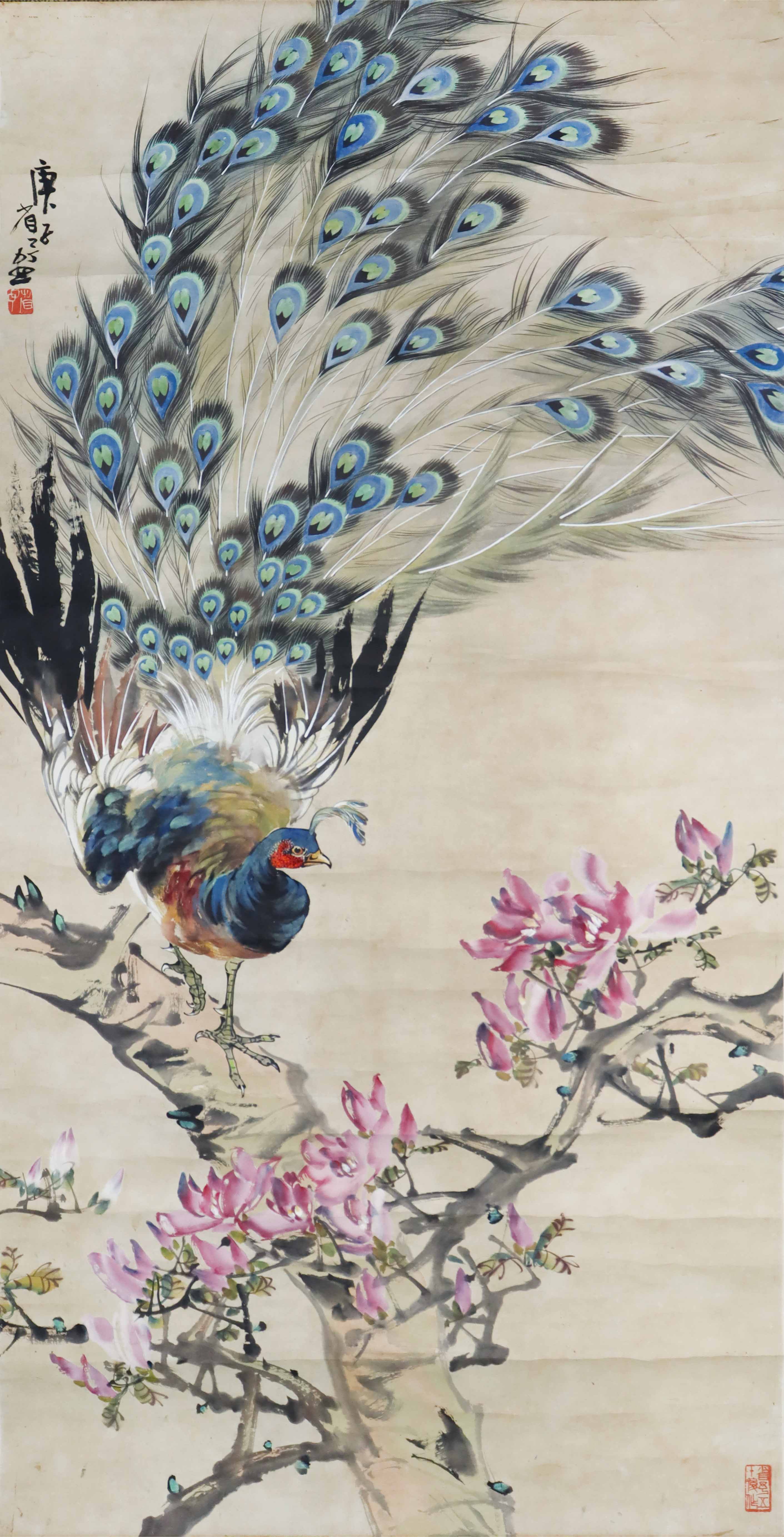 1104-宋省予孔雀辛夷花-薛小豪.jpg