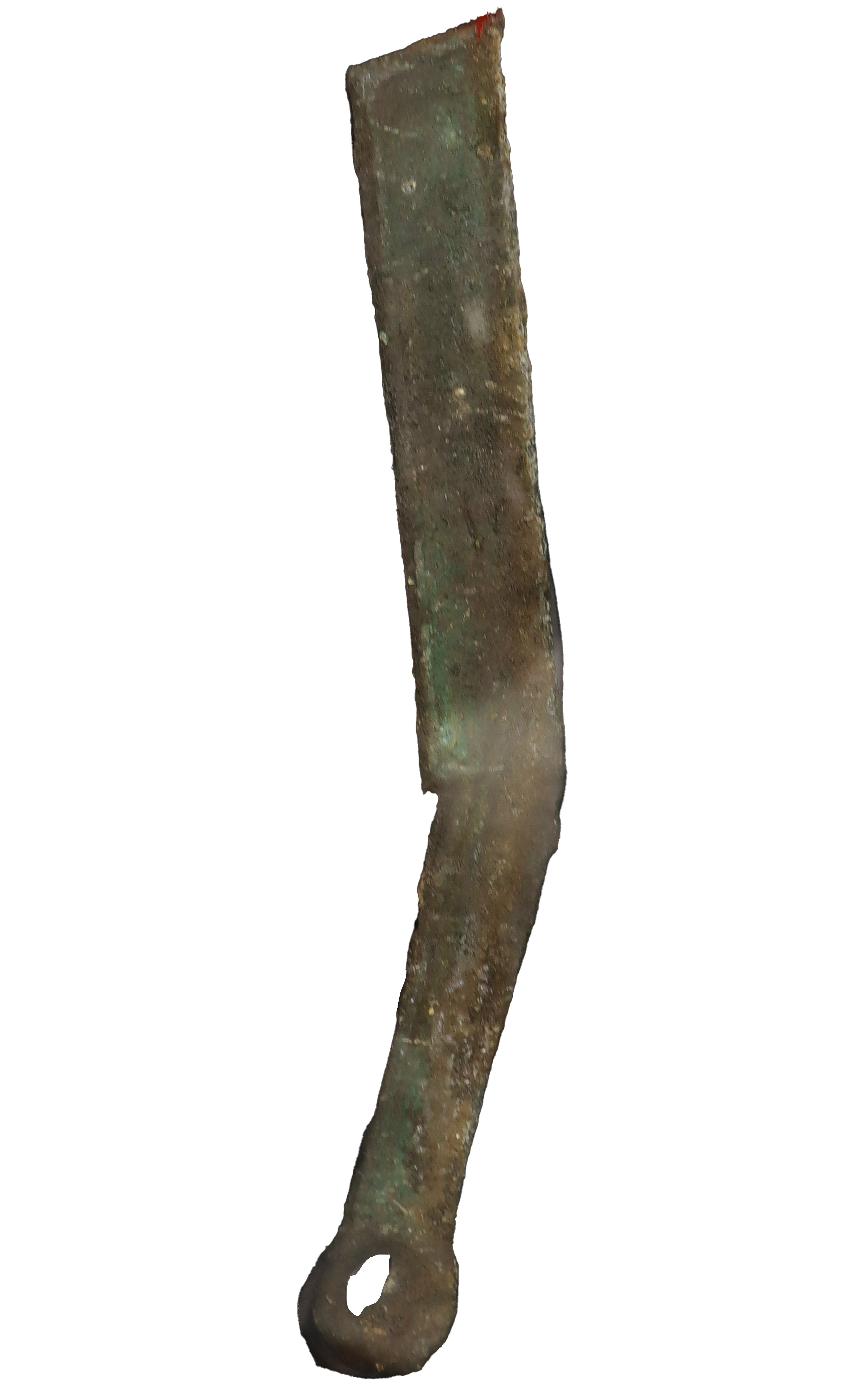 3488.jpg