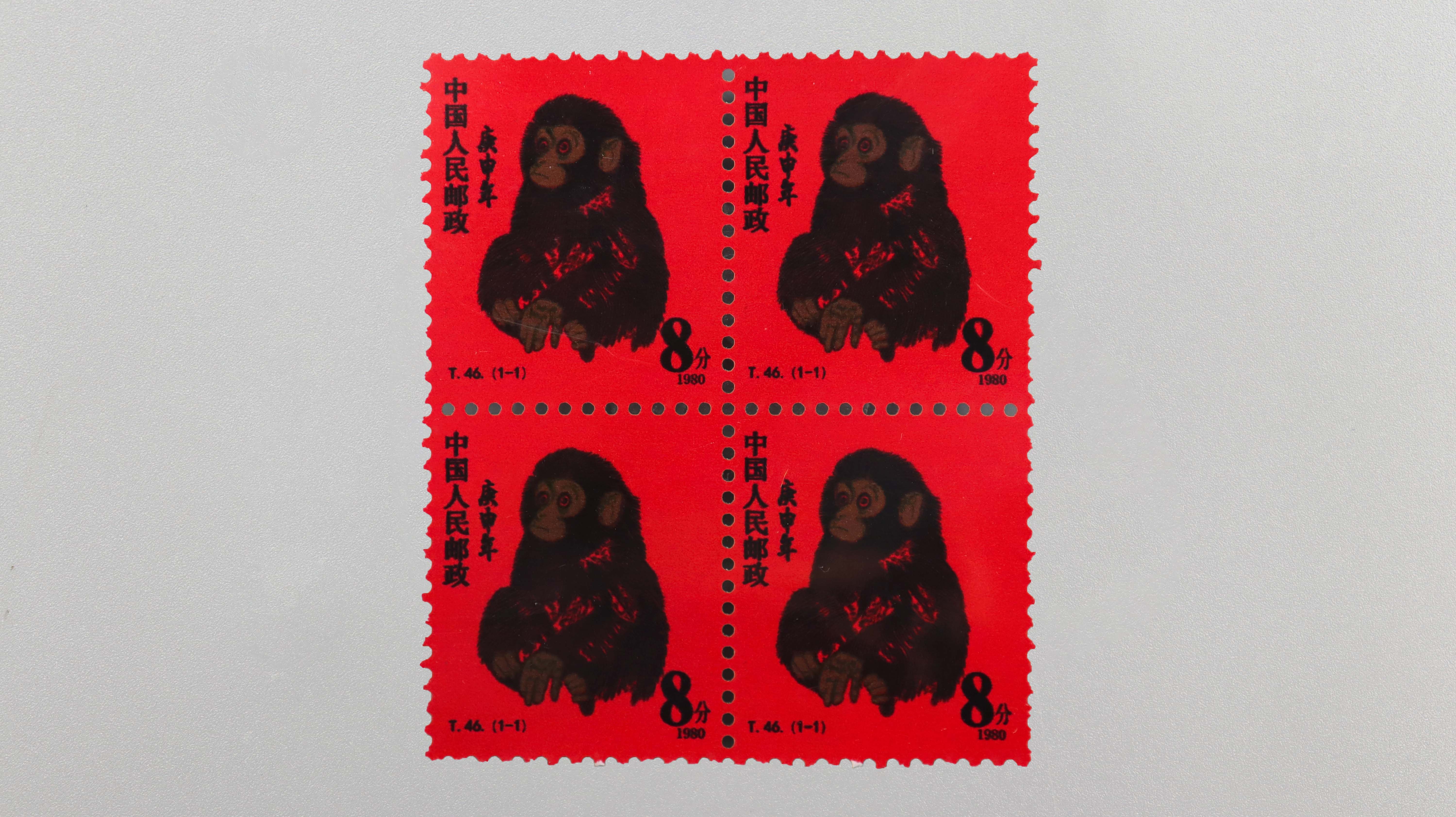 3190.jpg